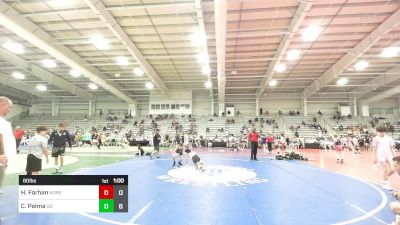 80 lbs Rr Rnd 1 - Hassan Farhan, Iron Horse Wrestling Club vs Cole Palma, Ohio Gold