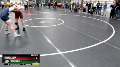 184 lbs Cons. Round 5 - Damen Pape, Northern State vs Joey Mushinsky, Mary