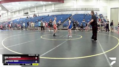 86 lbs Semifinal - Ben Howenstein, SD vs Greyson Reed, IN