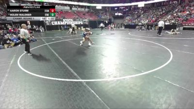 D3-165 lbs Champ. Round 1 - Aaron Sturm, Stanley-Boyd vs Nolen Waldner, Ithaca/Weston