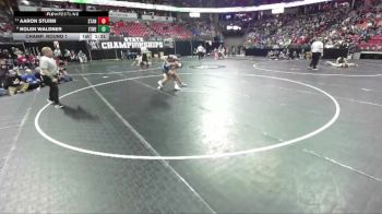D3-165 lbs Champ. Round 1 - Aaron Sturm, Stanley-Boyd vs Nolen Waldner, Ithaca/Weston