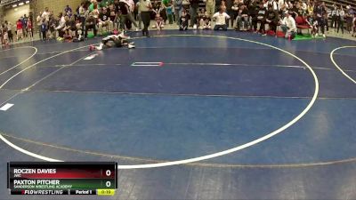 58 lbs Quarterfinal - Paxton Pitcher, Sanderson Wrestling Academy vs Roczen Davies, JWC