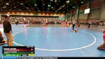 47-52 lbs Round 5 - Shane Joyner, Yerington Lions Wrestling vs Westyn Valice, USA GOLD