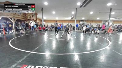 110 lbs Quarterfinal - Dante Tanzini, Hallstead vs Joseph De Pasqua, Pocono Summit