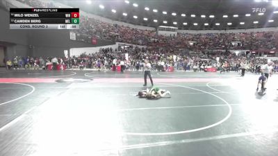 81 lbs Cons. Round 3 - Camden Berg, Melrose-Mindoro vs Milo Wenzel, Winneconne