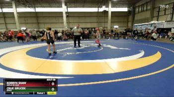 90 lbs Cons. Round 3 - Crue Sirucek, RMMS vs Korbyn Shaw, Declo Jr High