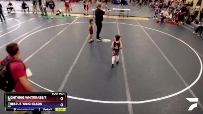 45 lbs Round 2 - Lightning Whiterabbit, MN vs Theseus Yang-Elson, MN