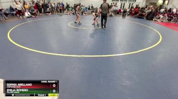 100 lbs Cons. Round 1 - Sophia Arellano, Cheyenne East vs Emilia Romero, Palmer Ridge