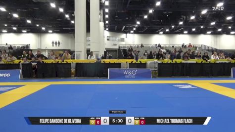 Kayoko Ozaki vs Elizabeth Kim-Uyen Doan 2025 World IBJJF Jiu-Jitsu No-Gi Championship