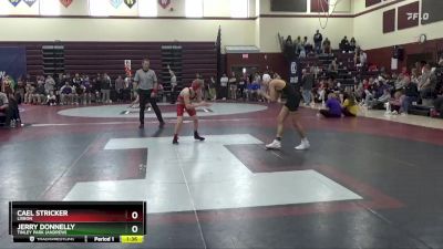 113 lbs Cons. Round 2 - Cael Stricker, Lisbon vs Jerry Donnelly, Tinley Park (Andrew)