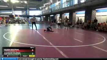 65 lbs Round 6 (10 Team) - Daemeon Coleman, Panda Wrestling Academy vs Oliver Westphal, Alabama Elite Gold