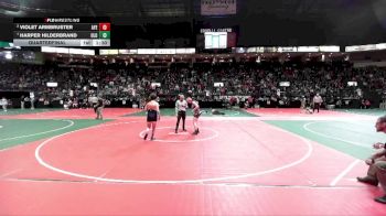 135 lbs Quarterfinal - Harper Hilderbrand, ULOA vs Violet Armbruster, AYE3