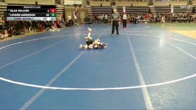 45 lbs Cons. Round 2 - Silas Wilczek, Little Falls vs Louden Anderson, DGF