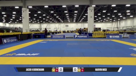 MARVIN MICK vs JACOB H BORNEMANN 2025 World IBJJF Jiu-Jitsu No-Gi Championship