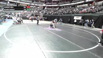 165-5A Champ. Round 1 - Blaine Fasulo, Fountain-Fort Carson vs Dominic Meli, Chatfield