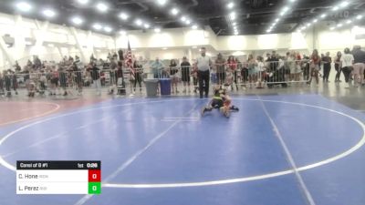 46 lbs Consi Of 8 #1 - Cutler Hone, Iron County Wr Ac vs Lorenzo Perez, Rising Sun WC