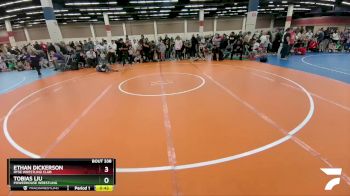78-79 lbs Round 1 - Tobias Liu, Powerhouse Wrestling vs Ethan Dickerson, Ryse Wrestling Club