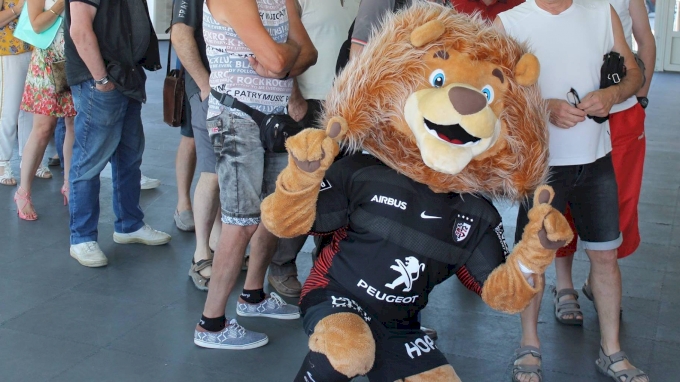 Stade Toulouse Lion.jpg