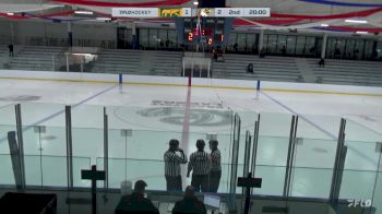 Replay: Home - 2024 CHI Cougars vs CHI Crush | Jan 19 @ 1 PM