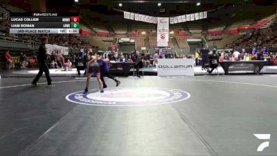 3rd Place Match - Lucas Collier, Mad Dawg Wrestling Club vs Liam Roman, LAWC