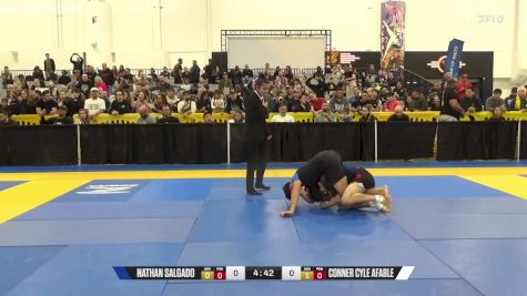 Conner Cyle Afable vs Nathan Salgado 2024 World IBJJF Jiu-Jitsu No-Gi Championship