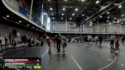 68 lbs Round 5 (10 Team) - Cameron Doroshenko, Mat Assassins vs Zayne Woodworth, Brawler Elite