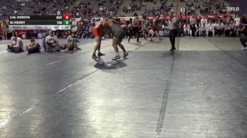 197 lbs Semis & 3rd Wb (16 Team) - Cal Dorota, Wartburg vs DJ Henry, TCNJ