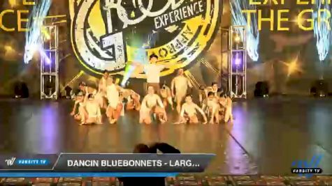 Dancin Bluebonnets - Large Jazz [2020 Junior - Jazz - Large Day 2] 2020 Encore Championships: Houston DI & DII