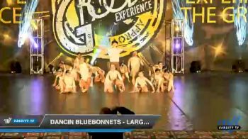 Dancin Bluebonnets - Large Jazz [2020 Junior - Jazz - Large Day 2] 2020 Encore Championships: Houston DI & DII