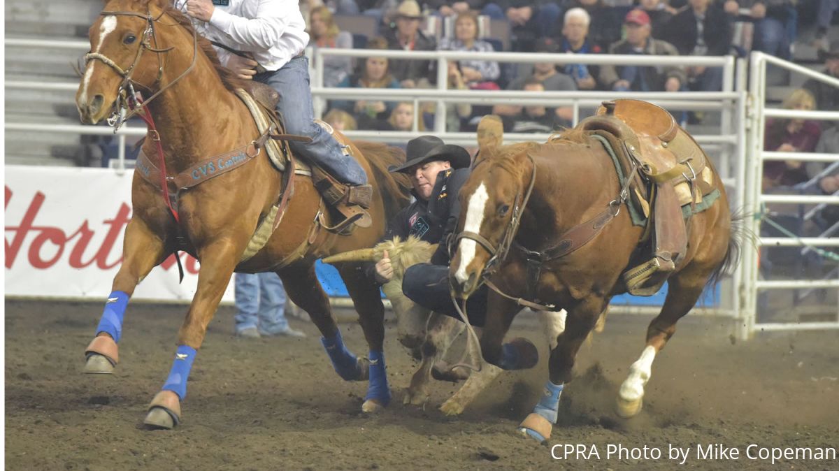 Pressure Cooker: 7 Steer Wrestlers, 5 Heelers, 1 Barrel Racer Vying For CFR