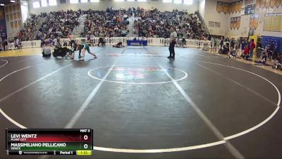 132 lbs Quarterfinal - Levi Wentz, Plant City vs Massimiliano Pellicano, Venice