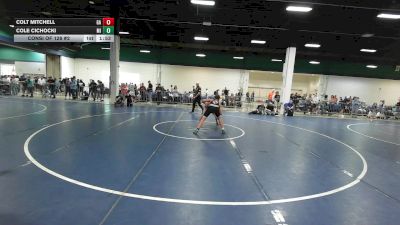 132 lbs Consi Of 128 #2 - Colt Mitchell, GA vs Cole Cichocki, MI