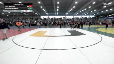 126 lbs Consi Of 32 #1 - Cole Mallon, MA vs Quade Cummings, DE