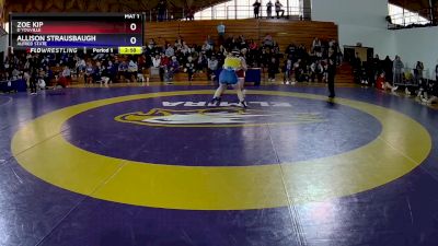 160 lbs Quarterfinal - Zoe Kip, D`Youville vs Allison Strausbaugh, Alfred State