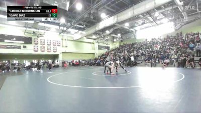 138 lbs Quarterfinal - Lincoln McClenahan, GRANADA HILLS vs David Diaz, EAGLE ROCK