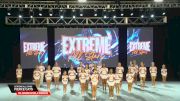 Extreme All Stars - Fierce Cats [2026 D2 Junior Level 2 Medium Day 2] 2026 U.S. National Cheer & Dance Championship