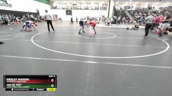 157 lbs Quarterfinal - Hayze Ivey, Lions Wrestling Academy vs Wesley Madden, Standfast Wrestling