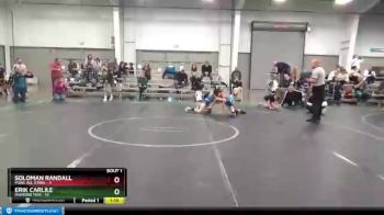 88 lbs Finals (2 Team) - Erik Carlile, Diamond Fish vs Soloman Randall, MJWL All Stars