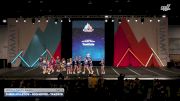 Cheer Athletics - Rochester - TaxiCats [2026 L1 Youth Small Day 1] 2026 The Youth Summit