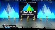 The Dance Vault - Tiny Elite Small Jazz [2025 Tiny - Jazz Finals] 2025 The Dance Summit