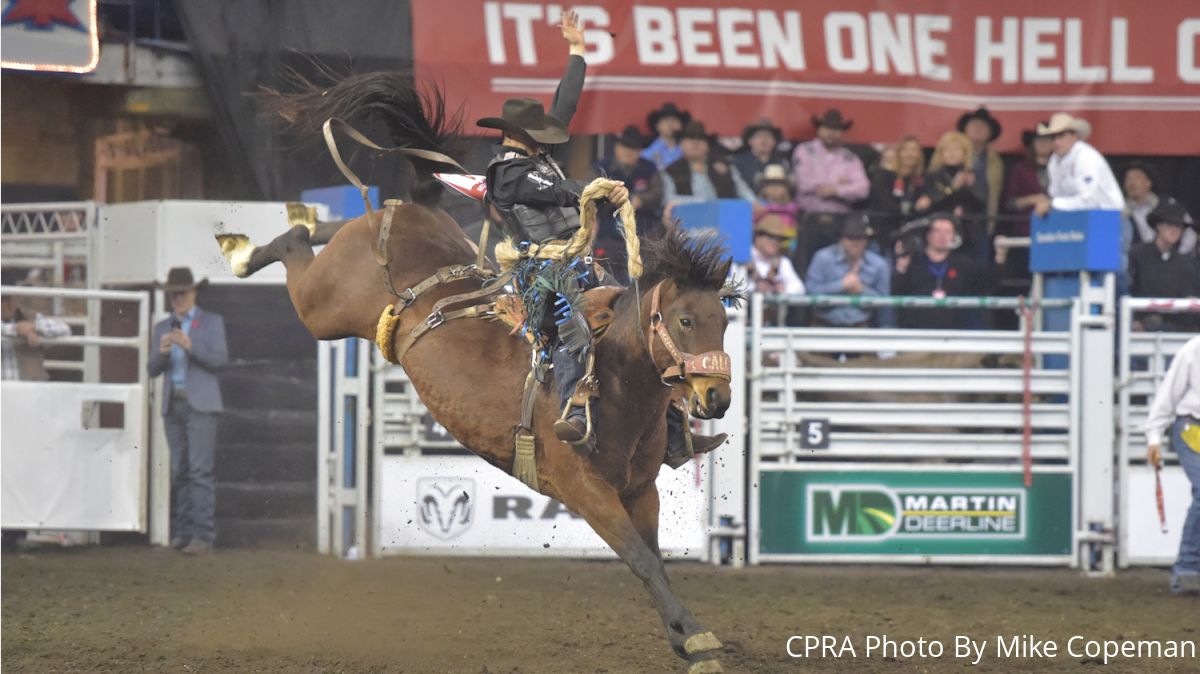 Why Pro? Your FloRodeo Subscription Explained
