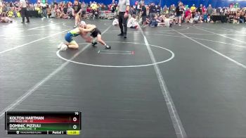 76 lbs Finals (2 Team) - Dominic Pizzuli, Rogue Wrestling vs Kolton Hartman, Ohio Gold 24k