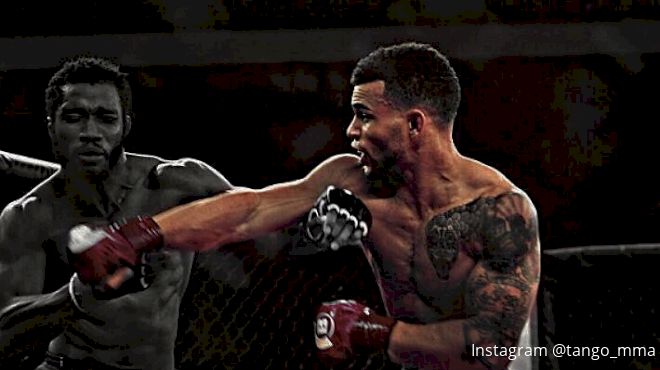 Top Turtle MMA Podcast: UFC Fight Night 138 Breakdown, Te Edwards Interview