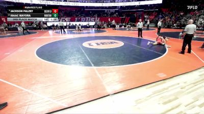 2A 132 lbs 3rd Place Match - Jackson Palzet, Deerfield (H.S.) vs Isaac Mayora, Lombard (Montini)