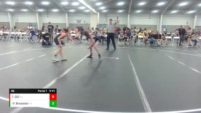 88 lbs Round 3 - Patrick Brewster, Virginia Patriots vs Tyler Gill, Hanover Hawkeye