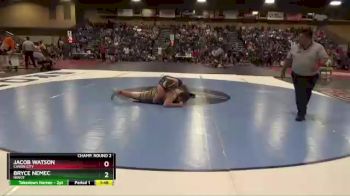 220 lbs Champ. Round 2 - Jacob Watson, Canon City vs Bryce Nemec, Niwot