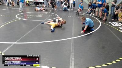 62 lbs Champ. Round 2 - Cypress Todero, Mid Valley Wrestling Club vs Ansen Tressler, Bethel Freestyle Wrestling Club