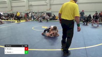 96-J lbs 3rd Place - David Brazie, MI vs Zachary Sandy, WV