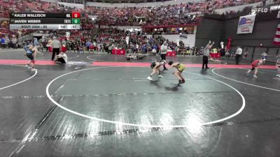 85 lbs Quarterfinal - Kaleb Wallisch, Milton/Nazar vs Jaiven Weber, Team Nazar Training Center