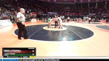 1A 195 lbs Semifinal - Brody Cuppernell, Champaign (St. Thomas More) vs Chris Peura, Seneca